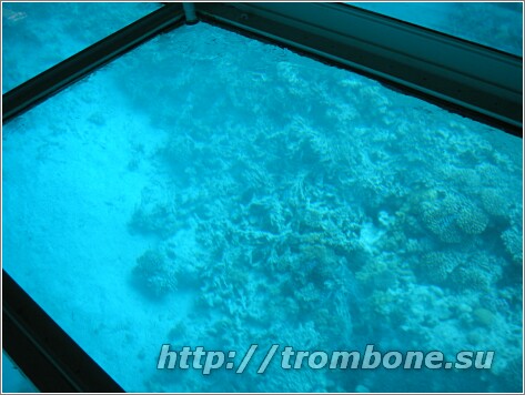 Под водой Красного моря 2